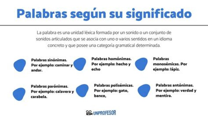 ¿Qué significa la palabra tubos cribosos