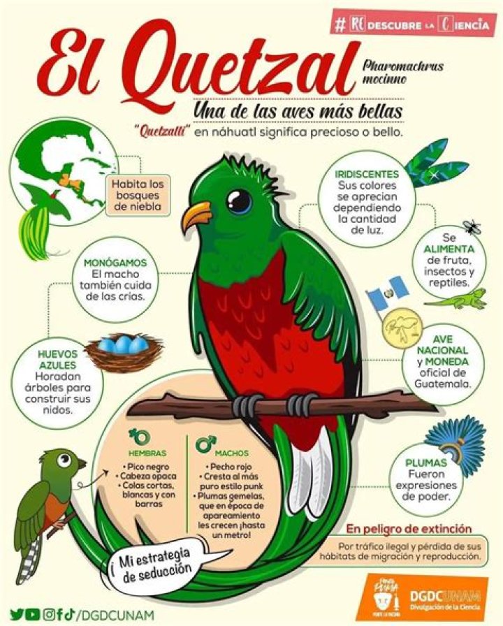 ¿Qué significado tiene el ave quetzal