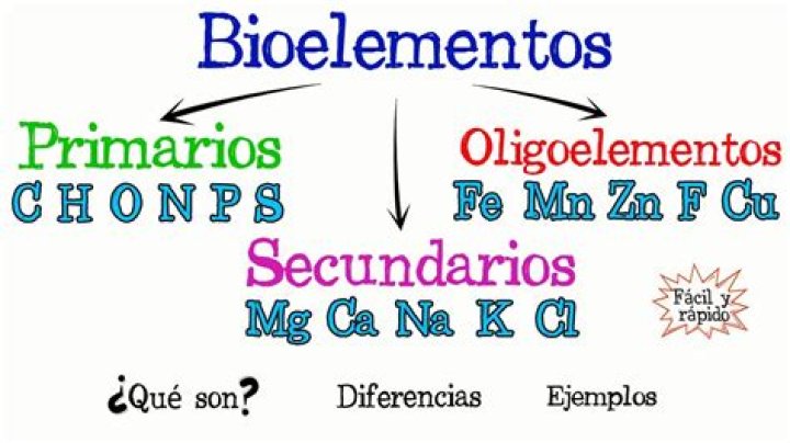 ¿Qué son los bioelementos secundarios ejemplos