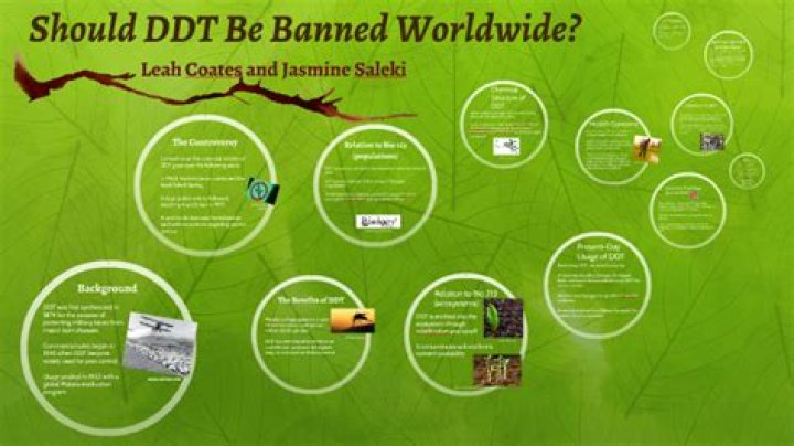 Should DDT be banned worldwide