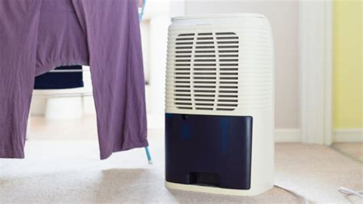 Should I use a dehumidifier in my RV