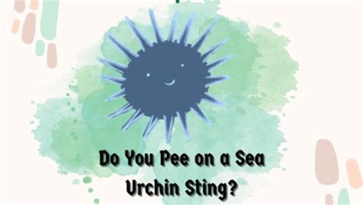 Should you pee on a sea urchin sting