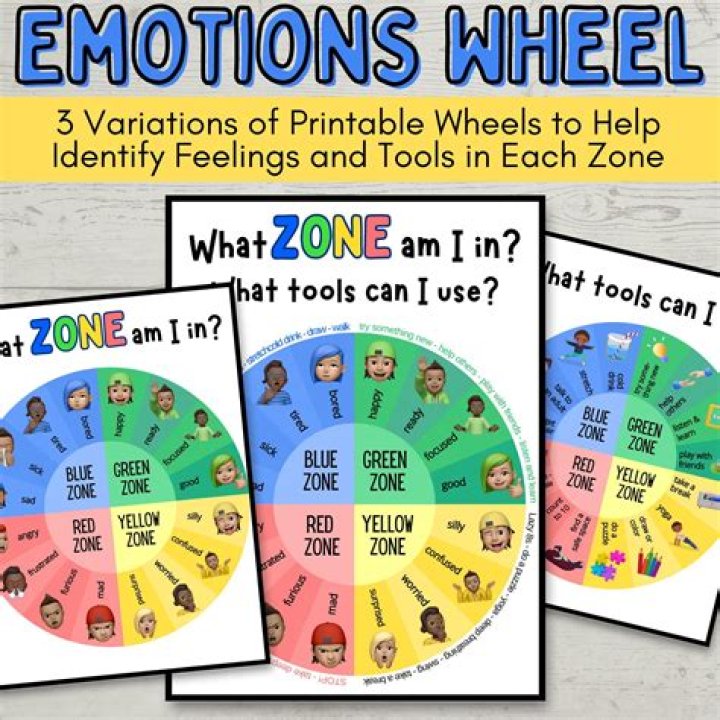 What age is the zones of regulation for