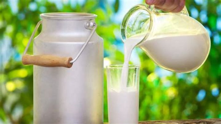 What age should you stop drinking milk