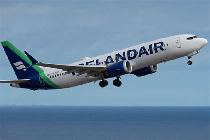 What airlines are partners with Icelandair