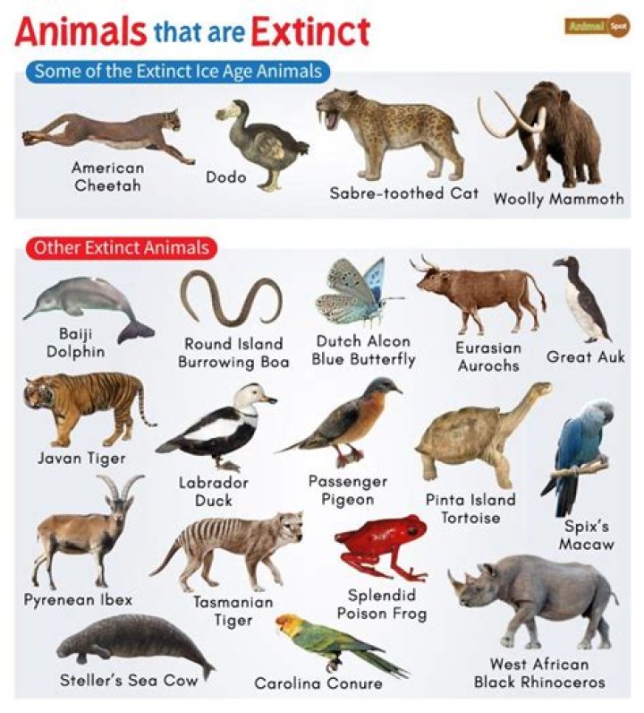 What animals are close to being extinct