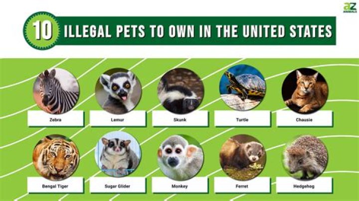What animals are illegal to own in Tennessee