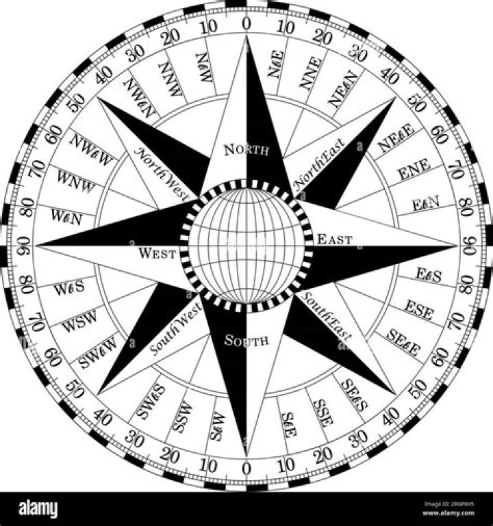 What Animals use compass orientation
