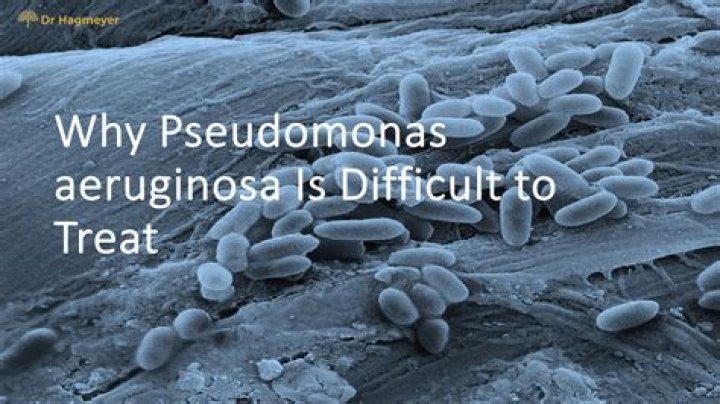 What antibiotics treat Pseudomonas aeruginosa