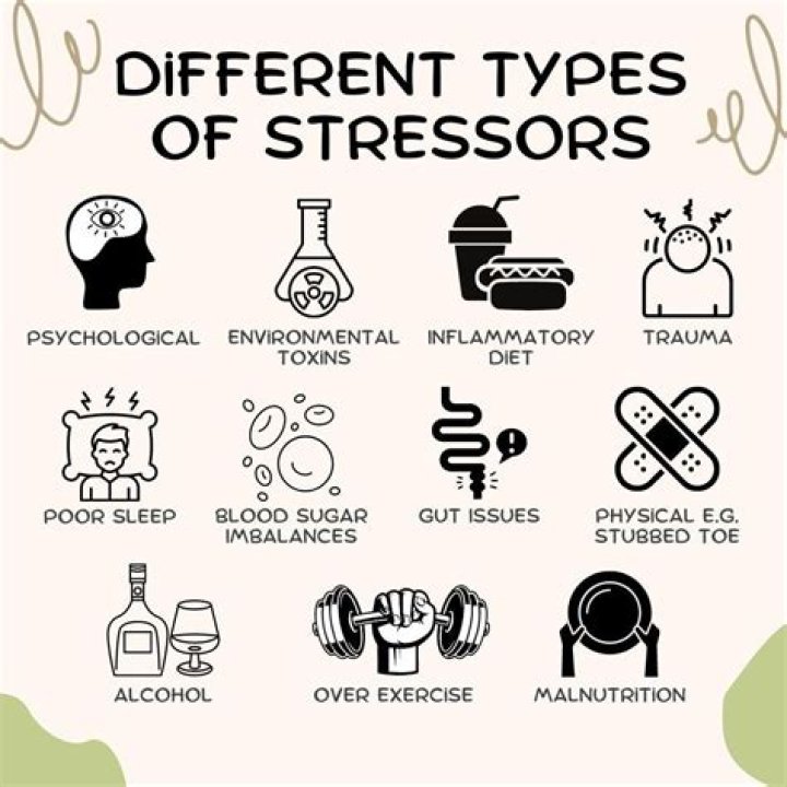 What are 10 examples of stressors