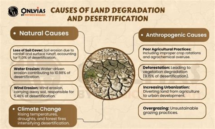 What are 3 causes of desertification