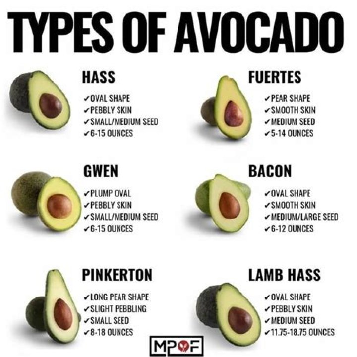 What are avocados so expensive