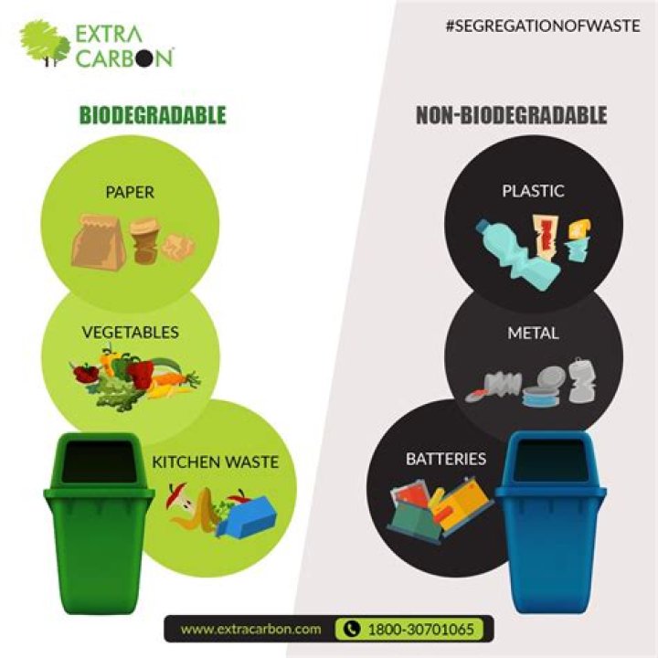 What are biodegradable and non biodegradable pollutants