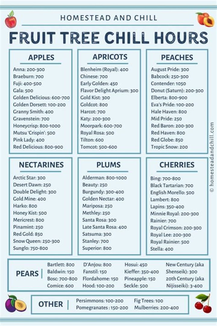 What are chill hours for apple trees