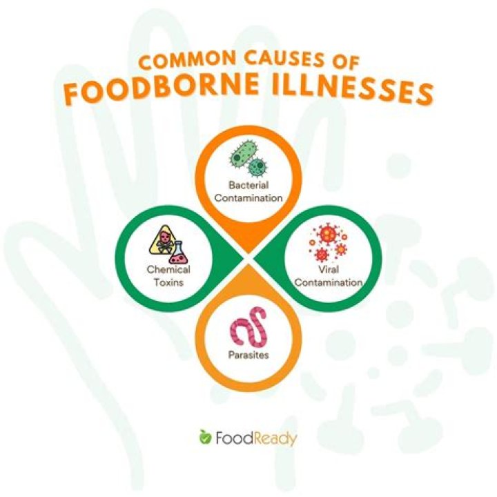 What are common foodborne illnesses