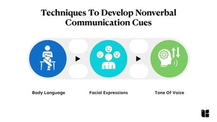What are cues in communication