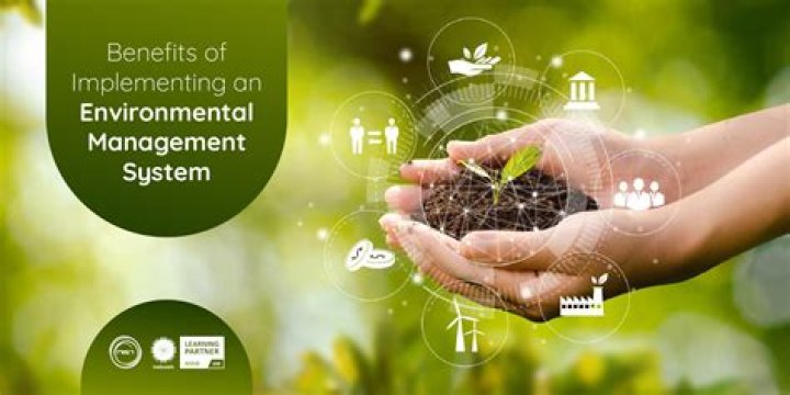 What are environmental value systems