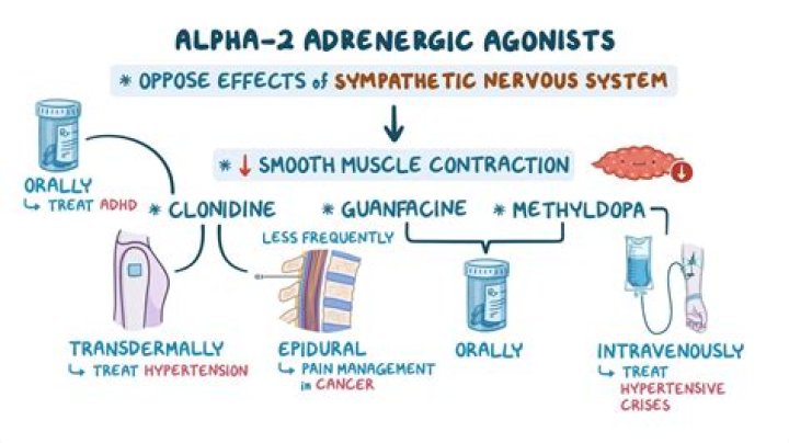What are examples of alpha agonists