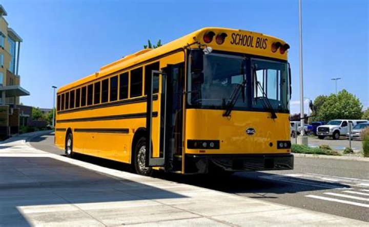 What are expansion bus used for