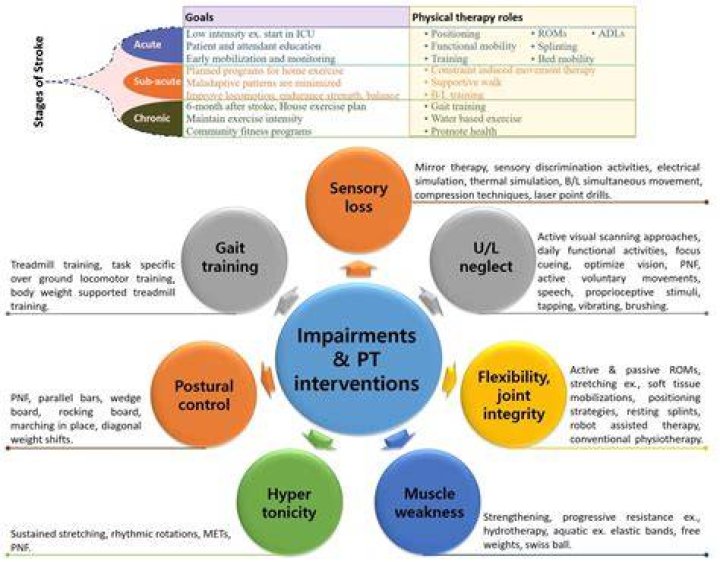 What are functional goals on an IEP
