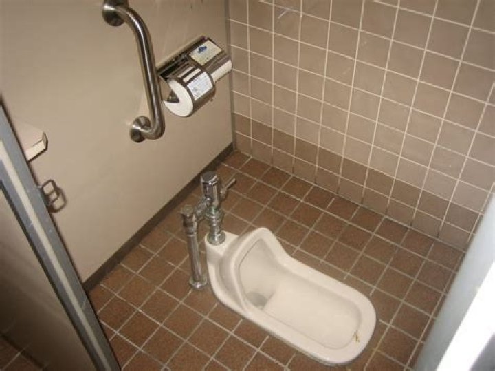 What are Japanese toilets called