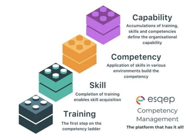 What are knowledge skills and competencies