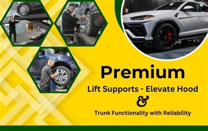 What are lift supports