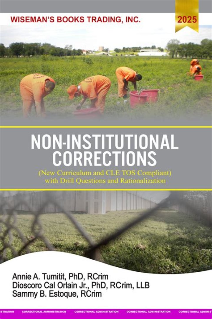 What are non institutional lenders