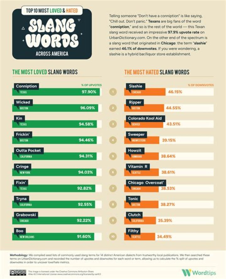 What are pejorative words