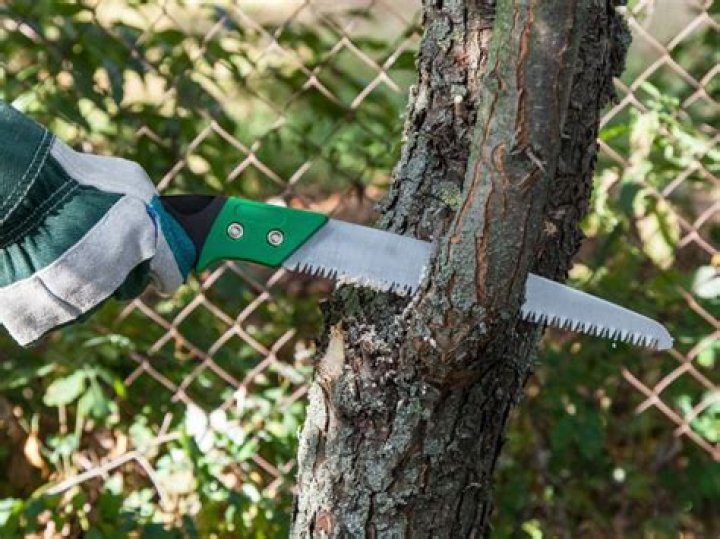 What are pruning saws