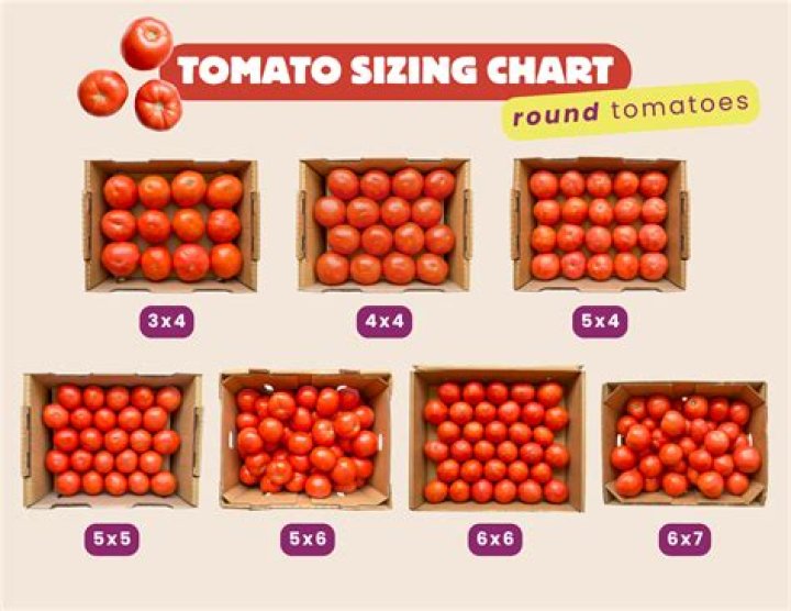 What are Roma tomatoes best for