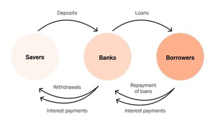 What are savers and borrowers