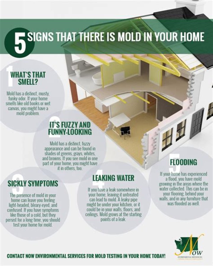What are signs of mold in your house