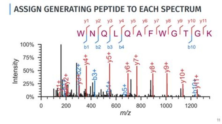 What are some advantages of sequencing peptides by mass spectrometry rather than by Edman degradation