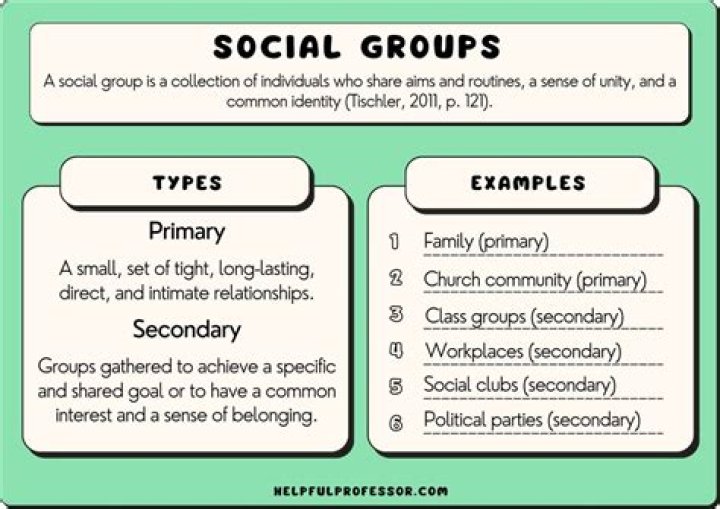 What are some examples of group behaviors biology