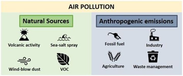What are some natural pollutants
