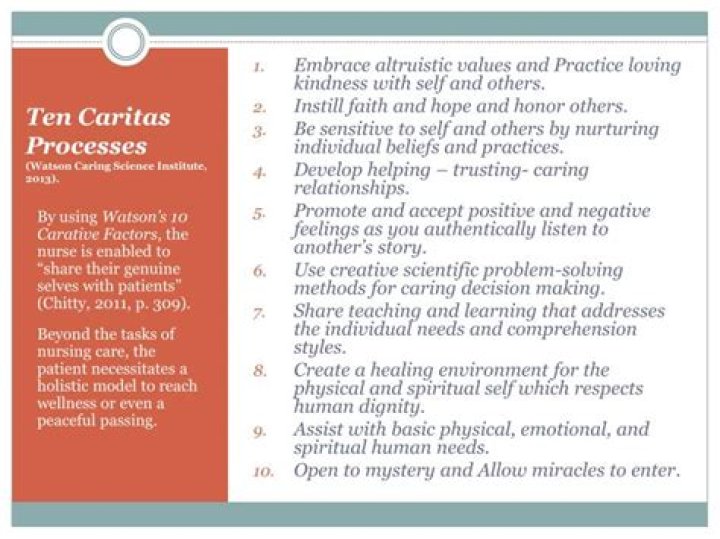 What are the 10 Carative processes