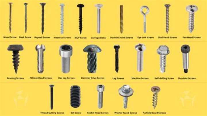 What are the 3 types of screws