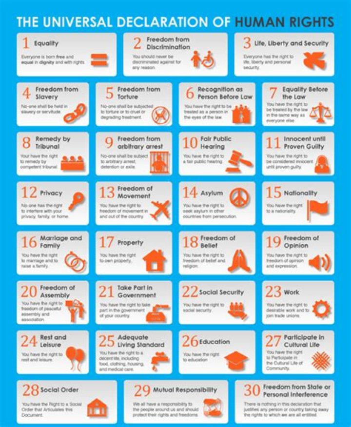 What are the 30 articles in the Universal Declaration of Human Rights