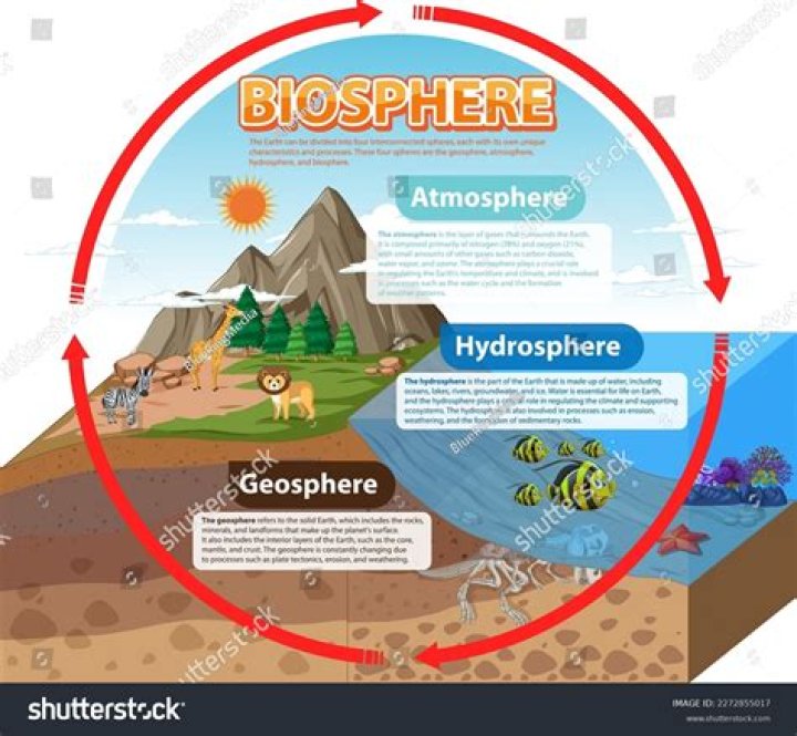 What are the 4 biospheres
