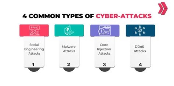 What are the 4 most common types of NCD