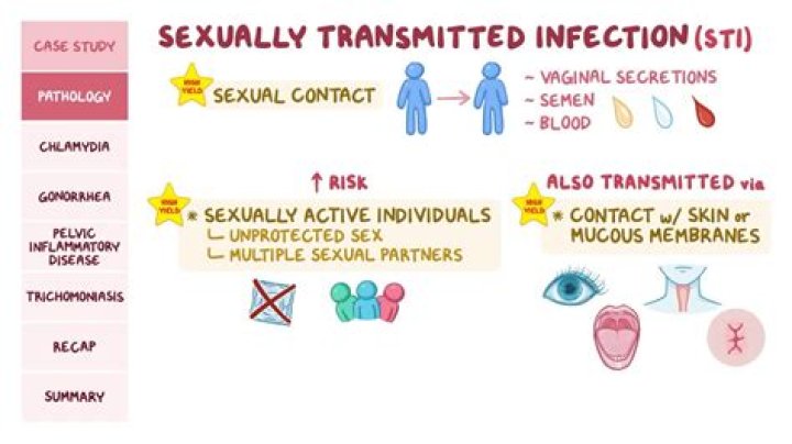 What are the 4 ways infections can be transmitted