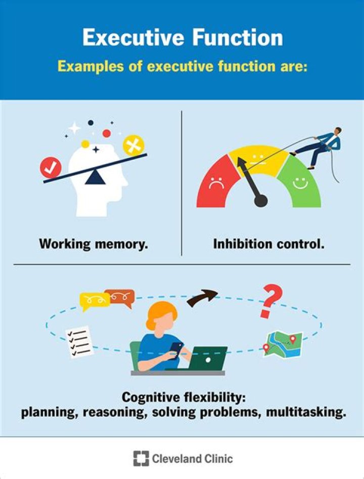 What are the 7 Executive functions