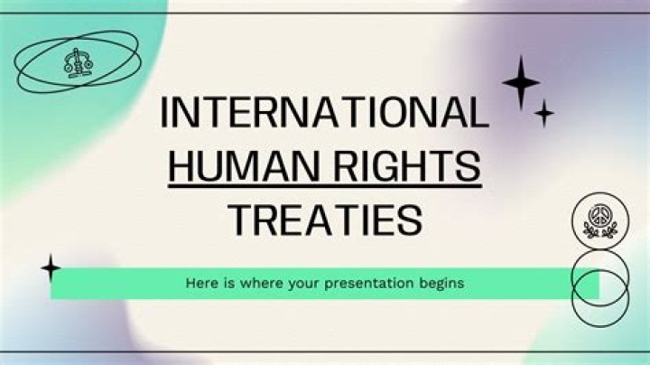 What are the 7 main international human rights treaties