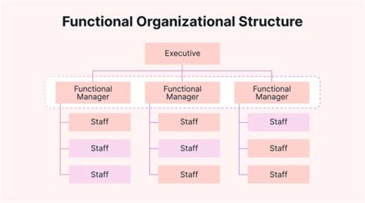 What are the advantages of a functional organizational structure