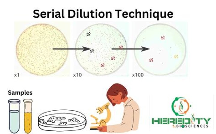 What are the advantages of serial dilution