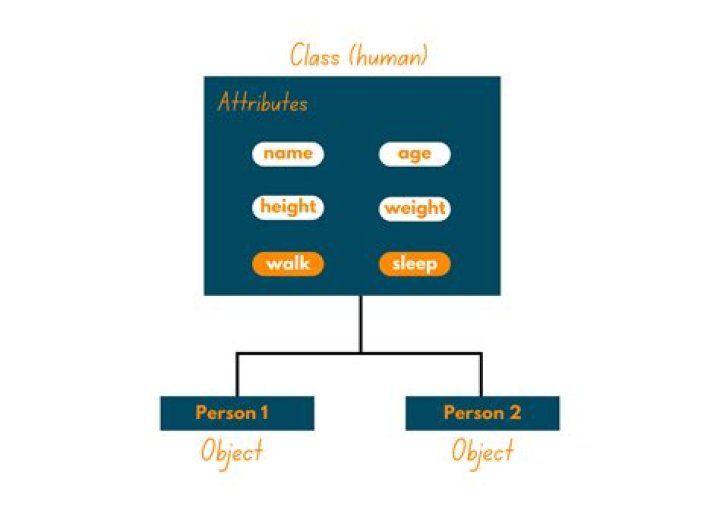 What are the attributes of an object