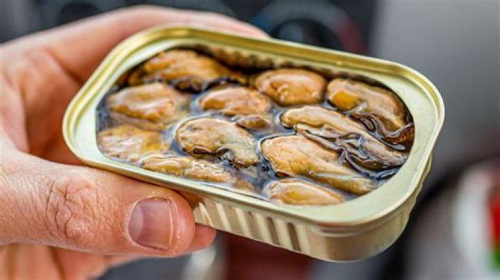 What are the benefits of eating canned oysters