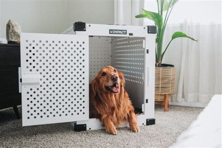 What are the best crates for dogs