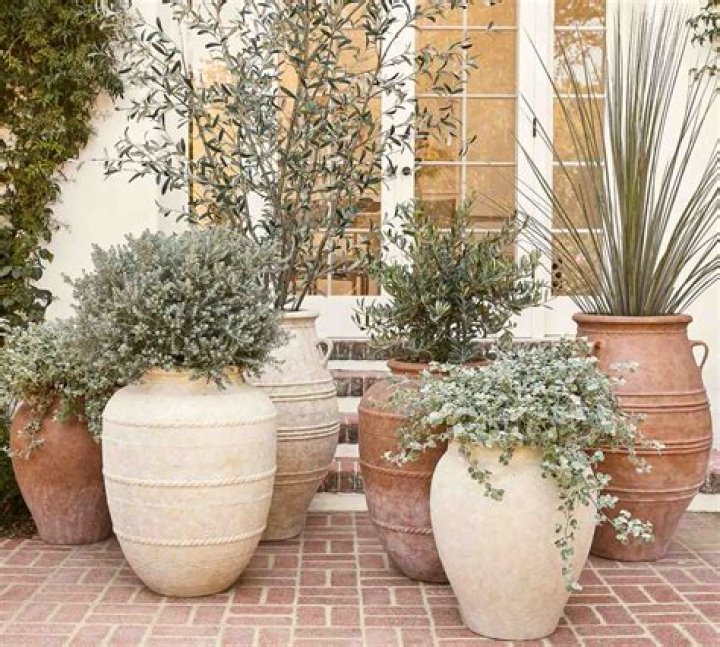 What are the best pots for outdoor plants